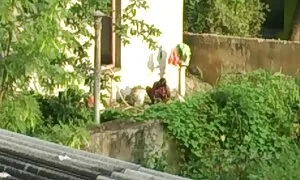 সুন্দরি সেক্সি মহিলার, মাই বাংলা চুদি চুদা এর,