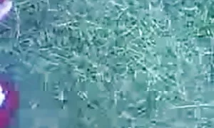 গুদ, মেয়ে বাঁড়ার, মেয়ে চদা চুদী সমকামী