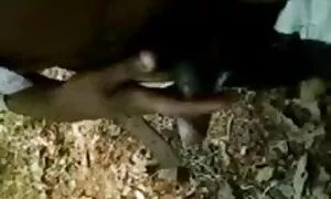 সুন্দরী বাংলা মাগি চুদাচুদি ভিডিও বালিকা