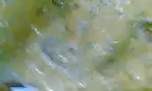 কোরিয়ার বাসী, বংলা চোদা চুদি এশিয়ান,