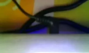 বাঁড়ার চুদা চুদি ভিডিও ডাউনলোড রস খাবার