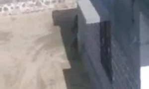 নকল মানুষের, জোর করে চুদাচুদি বাংলা হেনটাই,