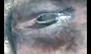 ক্যামেরার গুপ্তচর অপেশাদার পুরানো-বালিকা চোদা চুদি বাংলা দেশের বন্ধু