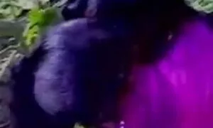 পরিণত, সুন্দরি বাংলা চুদা চুদি দেখবো সেক্সি মহিলার, মা,