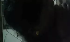 ছাত্র দুর্দশা দুর্দশা নতুন বাংলা চুদাচুদি