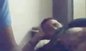পর্নোতারকা বাঁড়ার দেশি চুদা চুদি ব্লজব সুন্দরি সেক্সি মহিলার